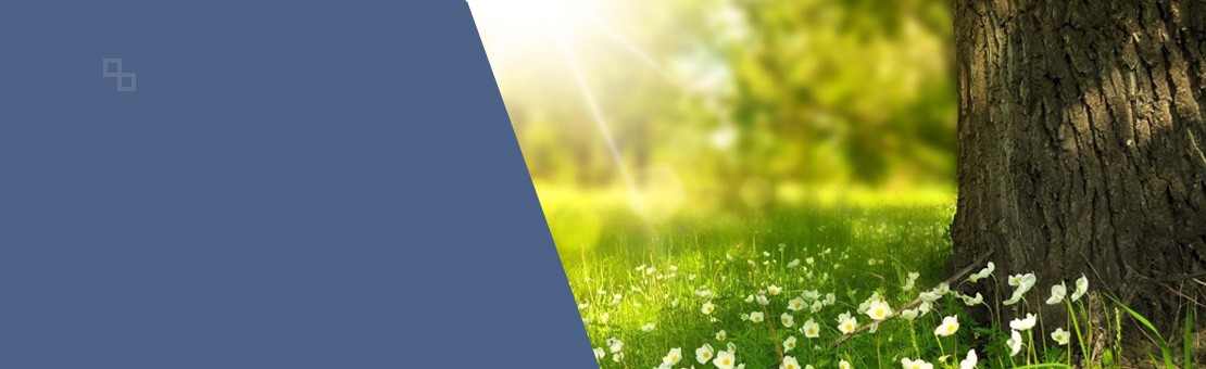 in unserem Onlineshop